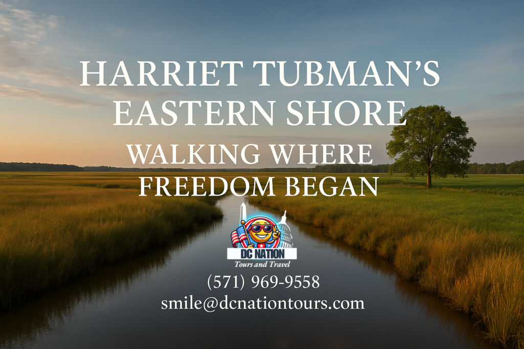 Harriet Tubman's Eastern Shore Landscape