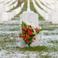 Arlington Cemetery